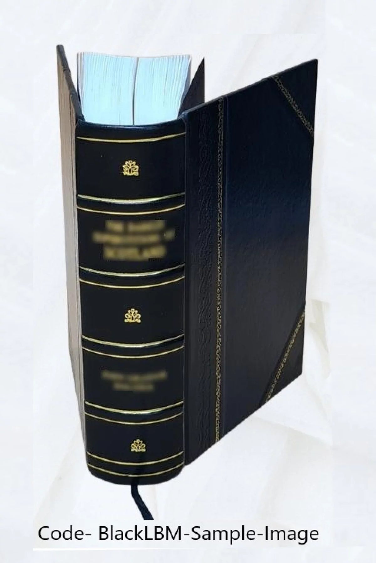 Grenzfragen des Nerven- und Seelenlebens. Volume Bd.7:Heft42-47 (1906) 1906 [Leather Bound]