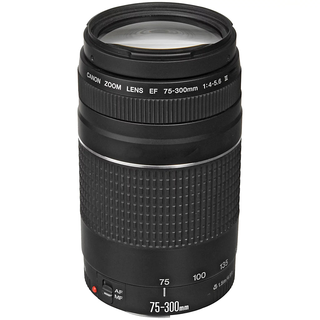 EOS R6 Mirrorless Camera with RF 24-105mm STM + 75-300mm Lens + Mount Adapter + 32GB SanDisk + ZeeTech Accessory