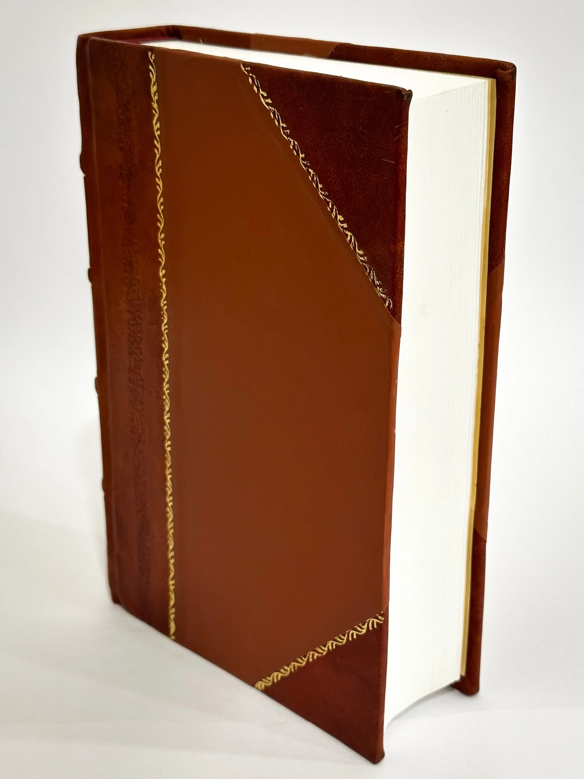 The Canadian Album: Men of Canada : Or, Success by Example, in Religion ... / William Cochrane , John Castell Hopkins , W. J. Hunter (1895) (1895) [Leather Bound]