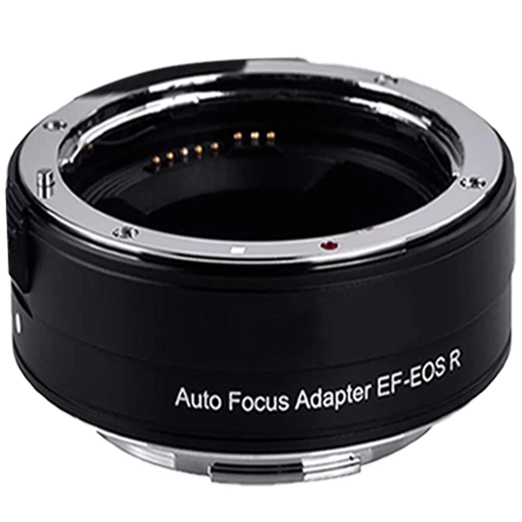 EOS R6 Mirrorless Camera with RF 24-105mm STM + 75-300mm Lens + Mount Adapter + 32GB SanDisk + ZeeTech Accessory