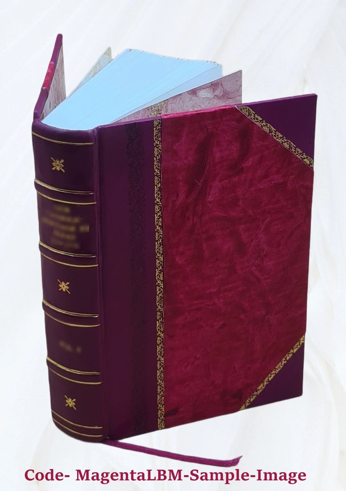 Oratorum Græcorum quorum princeps est Demosthenes, quæ supersunt monumenta ingenii e bonis libris a se emendata, materia critica, commentariis integris H. Wolfii, J. Taylori, J. Ma