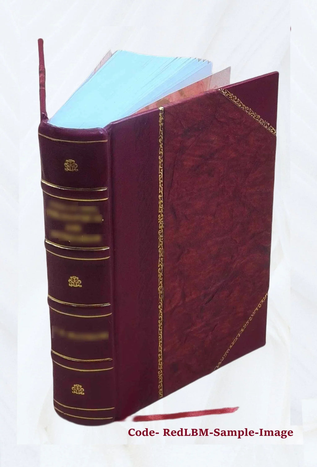 Grenzfragen des Nerven- und Seelenlebens. Volume Bd.7:Heft42-47 (1906) 1906 [Leather Bound]